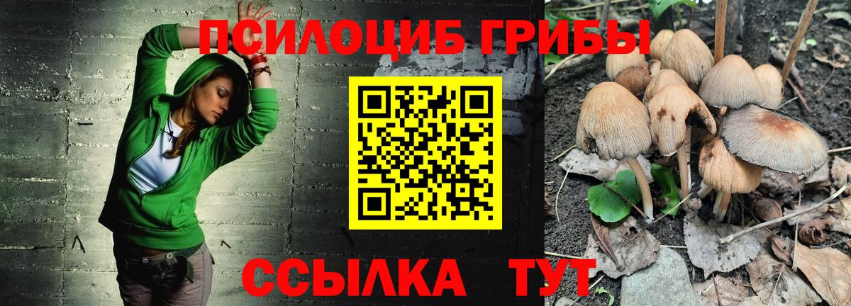 Галлюциногенные грибы Psilocybine cubensis Луховицы